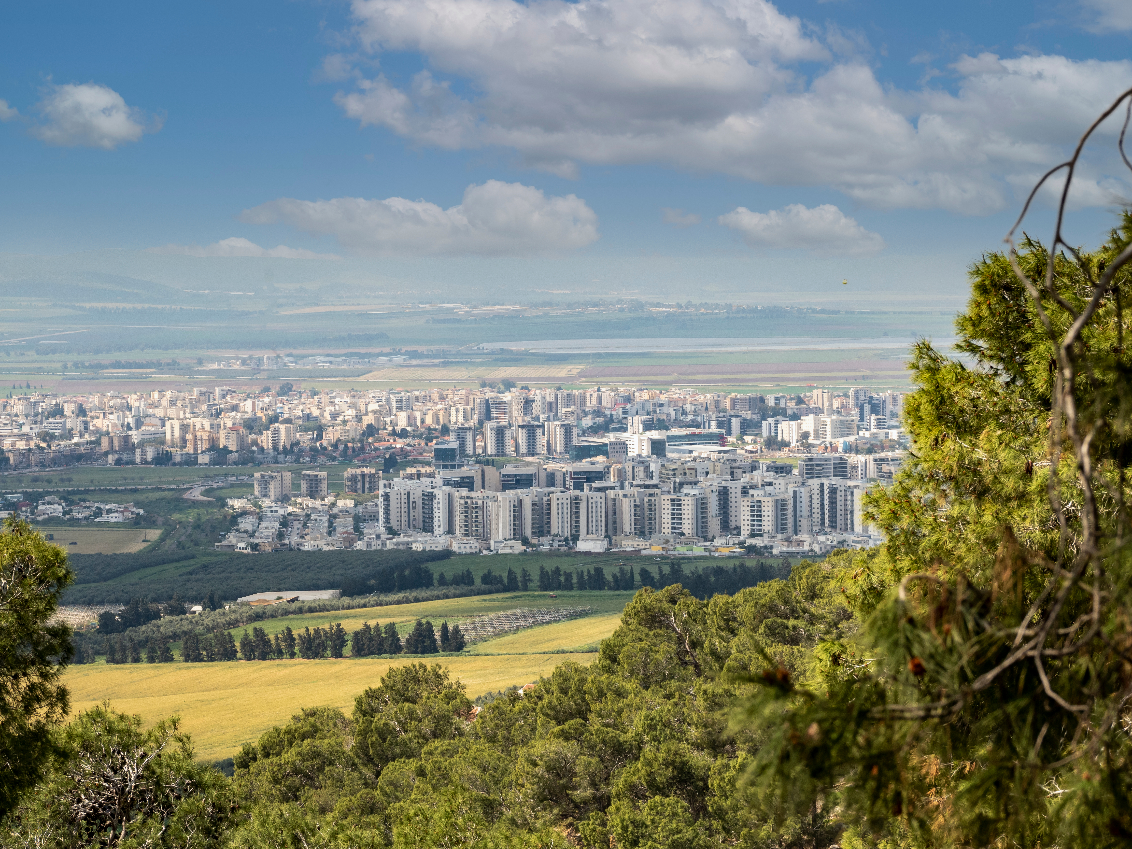 Afula branch